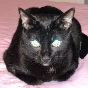 Meet your Posher, Zulma